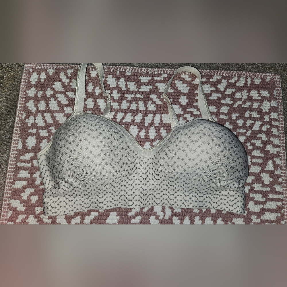 Hanes White and Gray Bra